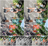 Evenement foto: Serie 1969
