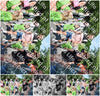 Evenement foto: Serie 1969