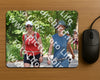 Evenement foto: Serie 1970