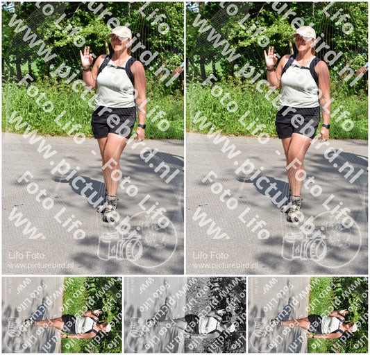 Evenement foto: Serie 1970