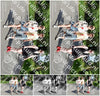 Evenement foto: Serie 1970