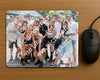 Evenement foto: Serie LWL 352