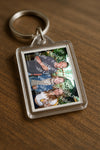 Evenement foto: Serie LWL 352