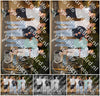 Evenement foto: Serie LWL 353