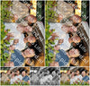 Evenement foto: Serie LWL 353