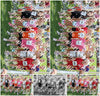 Evenement foto: Serie WID 104