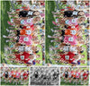 Evenement foto: Serie WID 104