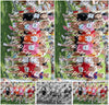 Evenement foto: Serie WID 104