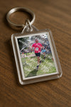 Evenement foto: Serie WID 104