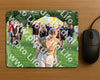Evenement foto: Serie WID 104