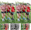 Evenement foto: Serie WID 104