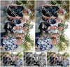 Evenement foto: Serie WID 105 en 106