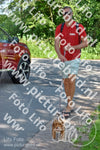 Evenement foto: Serie 1865