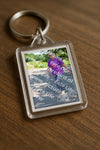 Evenement foto: Serie 1865