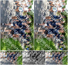 Evenement foto: Serie 1866