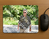 Evenement foto: Serie 1866