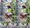 Evenement foto: Serie 1866