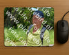 Evenement foto: Serie 1866