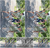 Evenement foto: Serie 1866