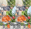 Evenement foto: Serie 1866