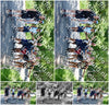Evenement foto: Serie 1866