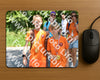 Evenement foto: Serie 1866