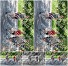 Evenement foto: Serie 1866