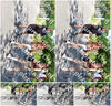 Evenement foto: Serie 1867