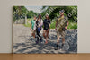 Evenement foto: Serie 1867