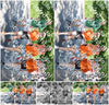 Evenement foto: Serie 1868