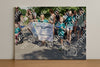 Evenement foto: Serie 1868
