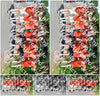 Evenement foto: Serie 1868