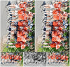 Evenement foto: Serie 1868