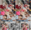 Evenement foto: Serie 1971