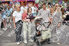 Evenement foto: Serie 1972