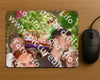 Evenement foto: Serie 1972