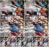 Evenement foto: Serie 1972