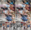 Evenement foto: Serie 1972