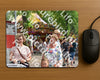 Evenement foto: Serie 1972