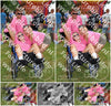 Evenement foto: LWL Serie 276