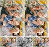 Evenement foto: WID 110