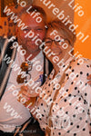 Evenement foto: WID 110