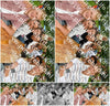 Evenement foto: WID 110