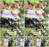 Evenement foto: WID 107