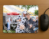 Evenement foto: WID 107