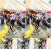 Evenement foto: WID 107