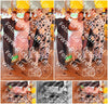 Evenement foto: WID 107