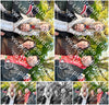 Evenement foto: Serie 1632