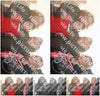 Evenement foto: Serie 1632
