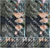 Evenement foto: Serie 1632